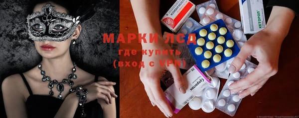 шишки Инта