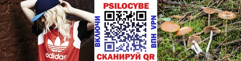 Галлюциногенные грибы Cubensis Брянск