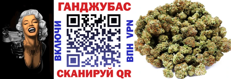 Конопля план  Брянск 